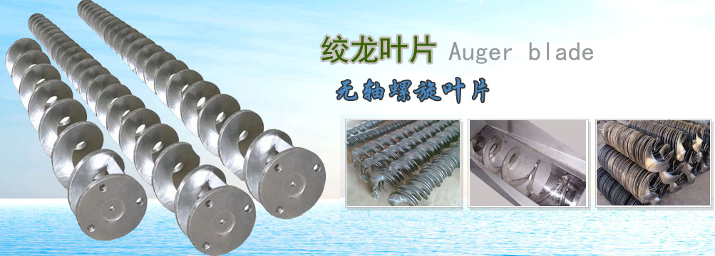 �o�S����